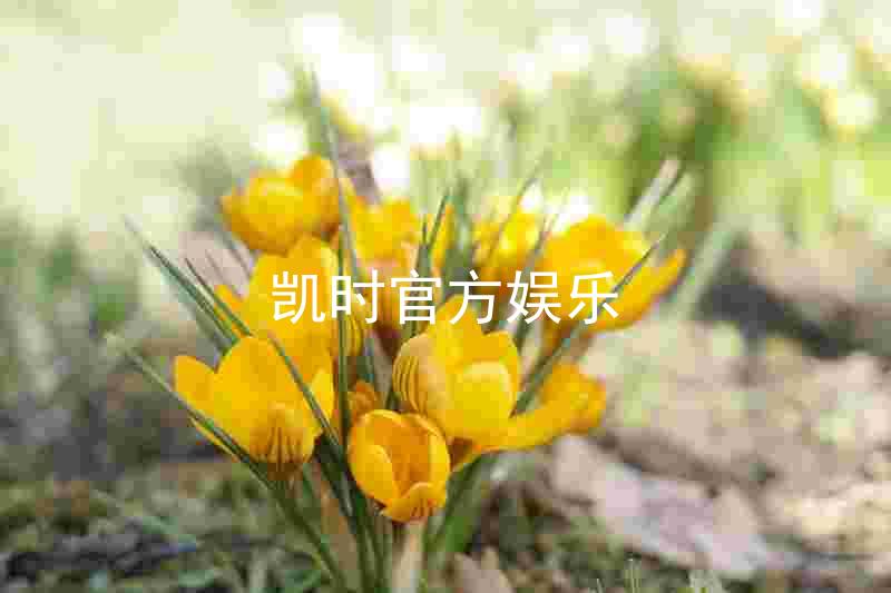 凯时官方娱乐