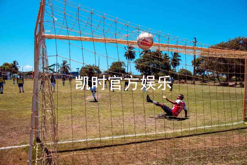 凯时官方娱乐